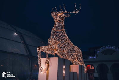 Terra Natal e de Sonhos 2018, fotografia 20 de 51