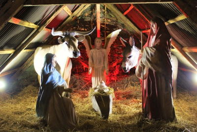 Terra Natal e de Sonhos 2018, fotografia 17 de 51