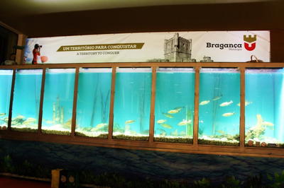 Norcaça, Norpesca & Norcastanha, fotografia 160 de 237