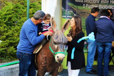 Rural Castanea 2018, fotografia 35 de 75