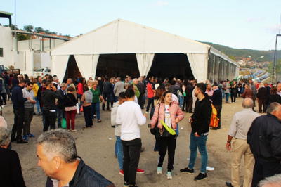 Rural Castanea 2018, fotografia 47 de 75
