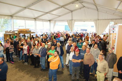 Rural Castanea 2018, fotografia 56 de 75