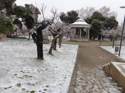 Nevão em Trás-os-Montes, fotografia 5 de 88