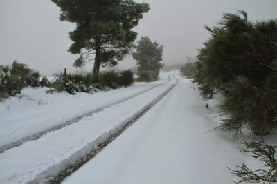 Nevão em Trás-os-Montes, fotografia 35 de 88