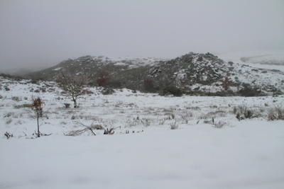 Nevão em Trás-os-Montes, fotografia 45 de 88