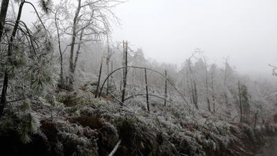 Nevão em Trás-os-Montes, fotografia 56 de 88