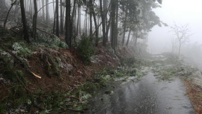 Nevão em Trás-os-Montes, fotografia 43 de 88