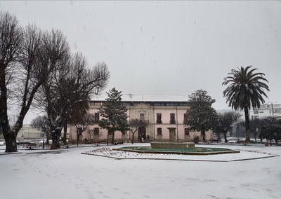 Nevão em Trás-os-Montes, fotografia 40 de 88