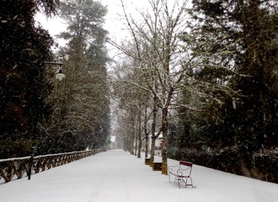 Nevão em Trás-os-Montes, fotografia 54 de 88