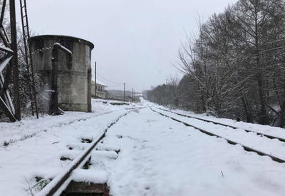 Nevão em Trás-os-Montes, fotografia 51 de 88