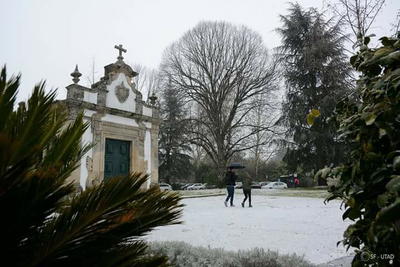 Nevão em Trás-os-Montes, fotografia 77 de 88