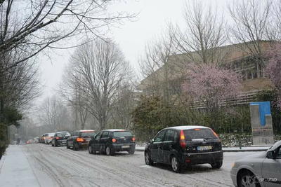 Nevão em Trás-os-Montes, fotografia 74 de 88
