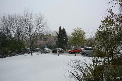 Nevão em Trás-os-Montes, fotografia 73 de 88