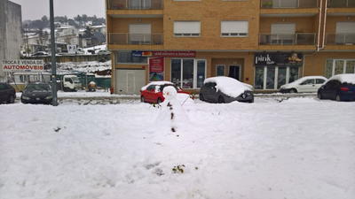 Nevão em Trás-os-Montes, fotografia 60 de 88