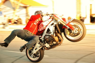 Mogadouro em Flor, fotografia 21 de 54