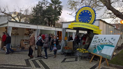 Feira da Alheira 2016 Mirandela, fotografia 2 de 69