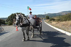 Alto Trás-os-Montes (81,48)