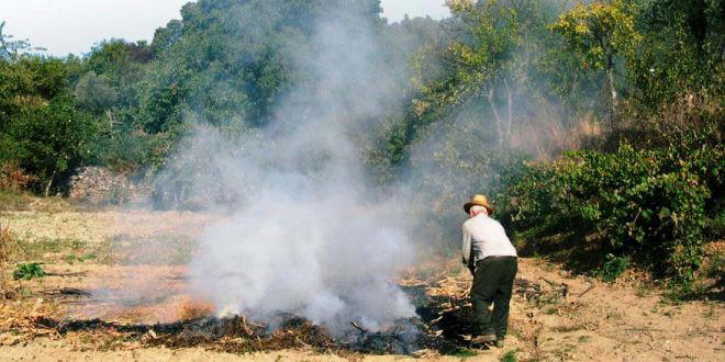 GNR deteve suspeito de incêndio florestal em Vila Real