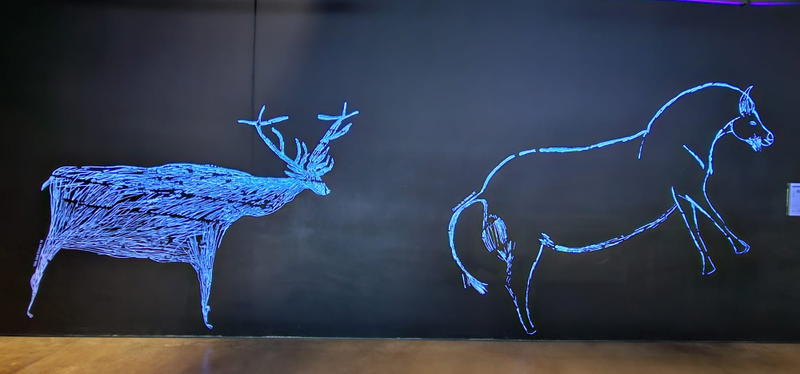 Abertura da linha Pocinho-Barca d’ Alva pode aumentar visitantes ao Museu do Côa - estudo