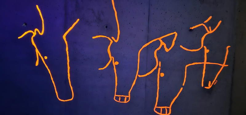 Abertura da linha Pocinho-Barca d’ Alva pode aumentar visitantes ao Museu do Côa - estudo