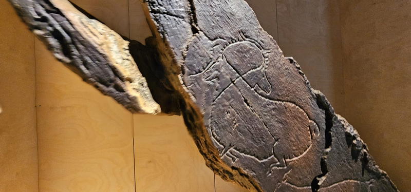 Abertura da linha Pocinho-Barca d’ Alva pode aumentar visitantes ao Museu do Côa - estudo