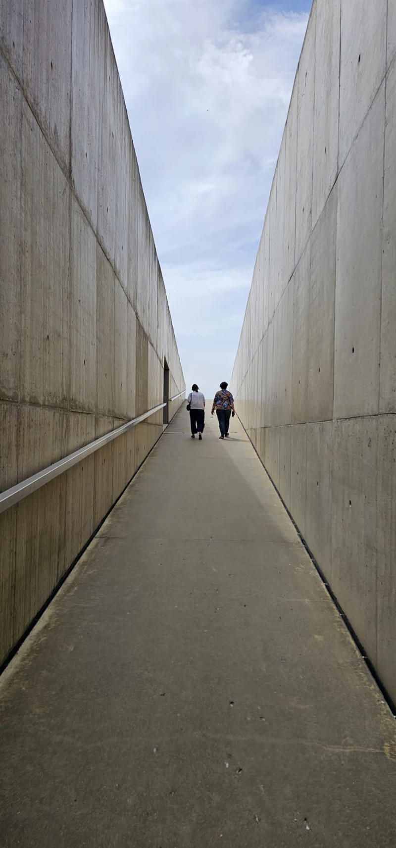 Abertura da linha Pocinho-Barca d’ Alva pode aumentar visitantes ao Museu do Côa - estudo