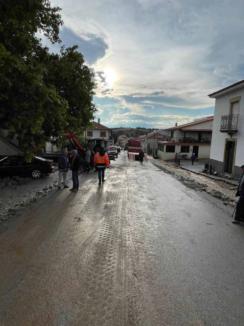 Trovoadas arrasam aldeia e provocam estragos na agricultura no Nordeste Transmontano
