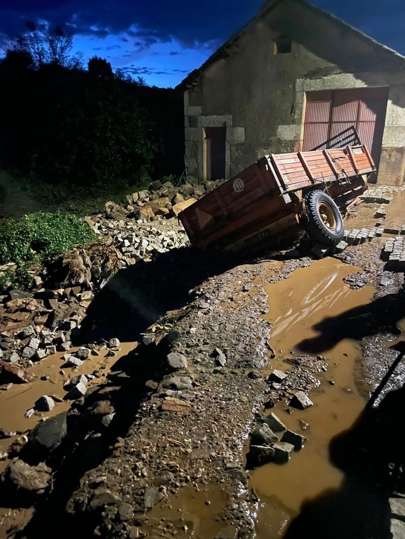 Trovoadas arrasam aldeia e provocam estragos na agricultura no Nordeste Transmontano