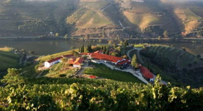 Família Amorim investe 5,5 ME na renovação de uma das mais antigas adegas do Douro