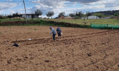 Agricultores submeteram quase 186.000 candidaturas ao Pedido Único