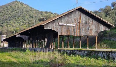 CP defende reabertura da Linha do Douro entre Pocinho e Barca d' Alva