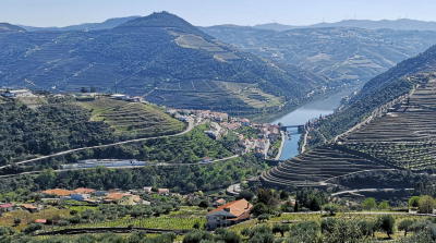 Associação apela ao voto nulo em alerta para a "catarse profunda" do Douro