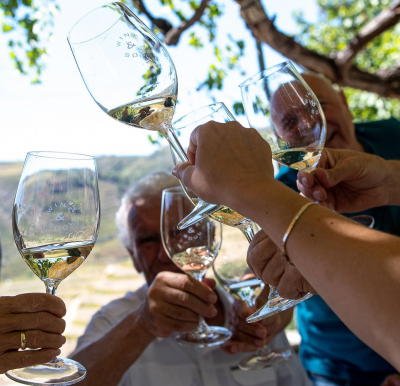Murça promove vinhos brancos do concelho entre sexta e sábado