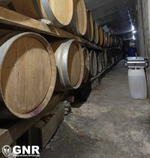 GNR apreendeu mais de sete mil litros de vinho licoroso em Vila Real