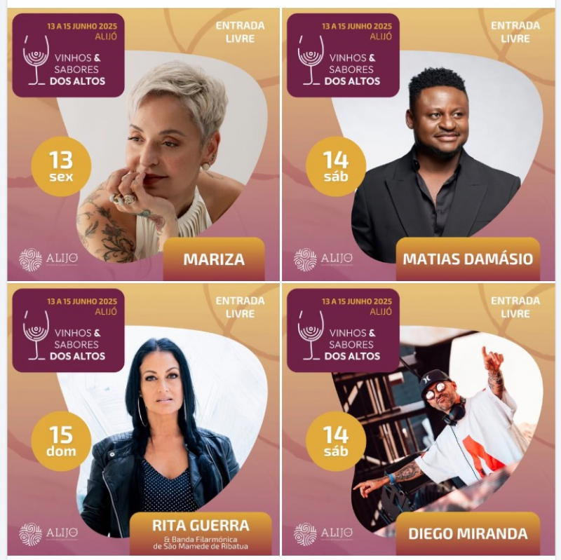 Nova associação em Alijó une produtores e comercializadores para valorizar azeite