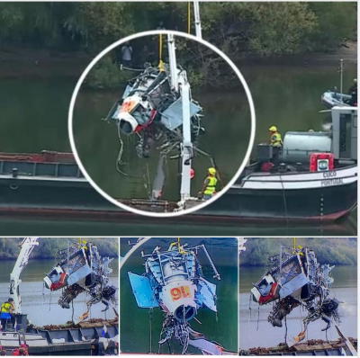 Piloto do helicóptero que caiu ao rio Douro indiciado por homicídio negligente