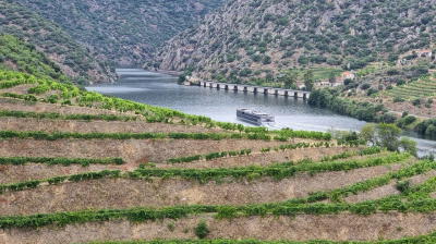 Ministro da Agricultura quer apoios a excedentes no Douro prontos até setembro