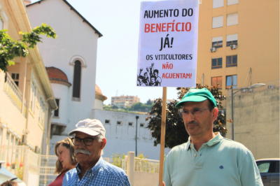 CNA exige medidas do Governo após anúncio de corte na produção de vinho do Porto