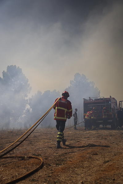 Meios reforçados no fogo em Vila Real que tem três frentes