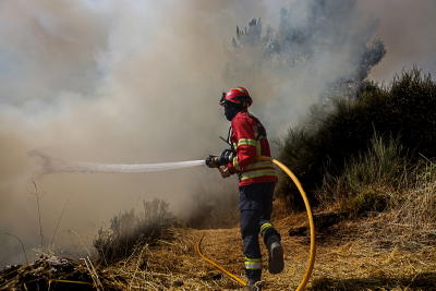 Cinco meios aéreos reforçam combate em Vila Real e Mondim de Basto