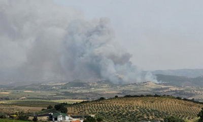 Fogo de Mirandela passa IP2 e faz confinar moradores de Vilares da Vilariça