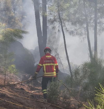 Combate ao incêndio decorre favoravelmente em Chaves