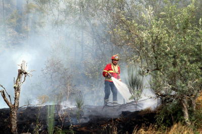 Incêndio com origem em Montalegre combatido por meios portugueses e espanhóis