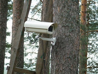 Vila Real instala câmaras de vigilância na floresta e reforça prevenção