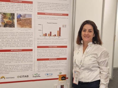 Estudo sobre o própolis português vence prémio mundial