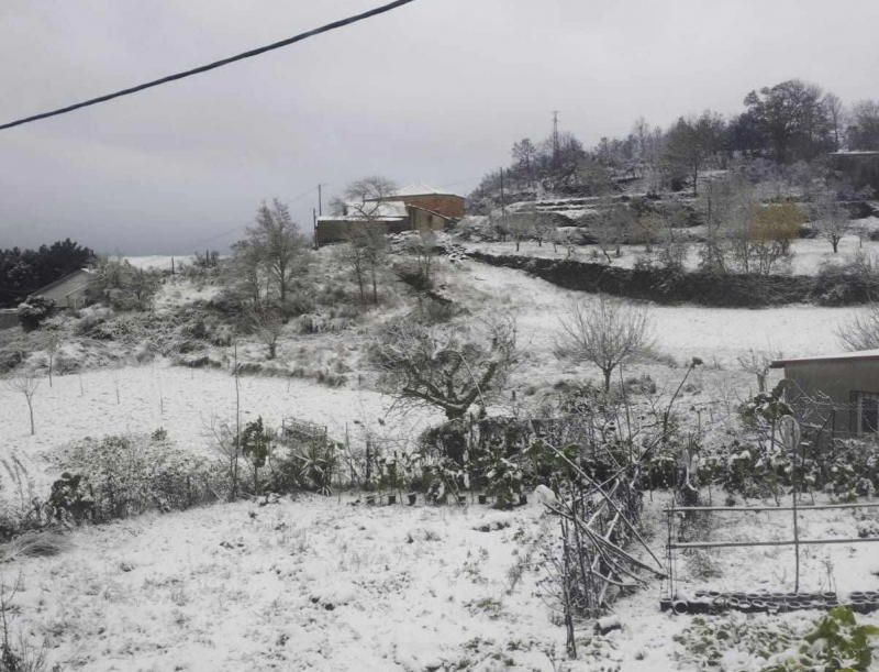 Escolas fechadas e transportes escolares suspensos em Chaves