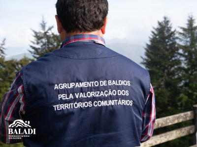 Federação Nacional de Baldios critica fim da cogestão e a concentração de poderes no ICNF