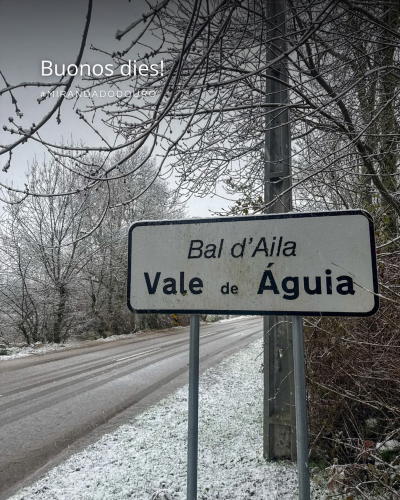 Escolas de Miranda do Douro e Mogadouro fechadas devido à queda de ne