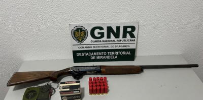 Homem detido por caçar com chamariz e sem autorização em Mirandela