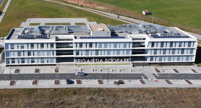 Laboratório de Bragança vai aproveitar mirtilos de refugo para criar corante e 'snacks'